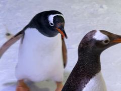 -郑州银基冰雪世界