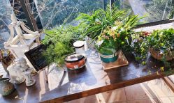 -彤竹瑜伽普拉提馆·女子孕产健身会所