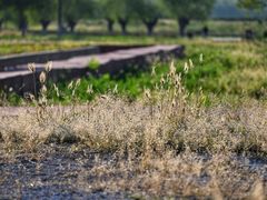 -汉长安城未央宫国家考古遗址公园