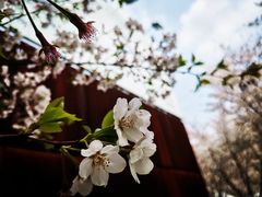 -龙美术馆西岸馆-停车场