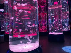 -海合安成都极地海洋公园