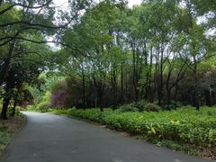 -上海滨江森林公园