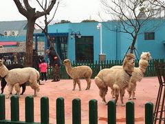 -无锡动物园·太湖欢乐园