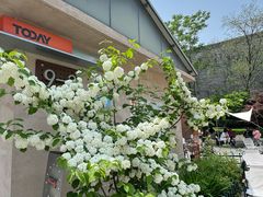 -Bamboo Today Cafe(国创园店)