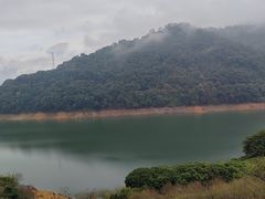 -广州市流溪河国家森林公园