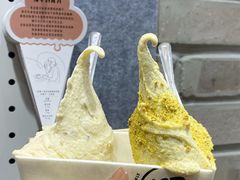 -野人先生现做冰淇淋(西安赛格店)