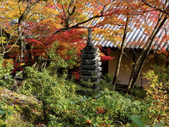 -常寂光寺