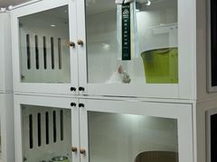 -青奢宠物·青奢猫舍