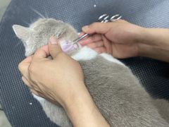 -PETKIT小佩宠物·低压洗护(国顺东路店)