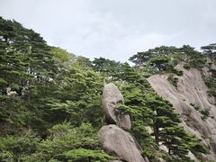 -黄山风景区
