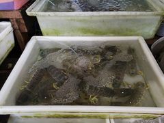 -拉威海鲜市场