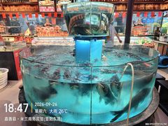 -魏铭鱼头捞饭(晋阳路店)