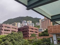-香港大学