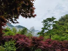 -丹山赤水风景名胜区