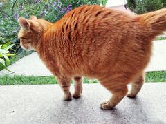 游乐设施-北外滩滨江绿地