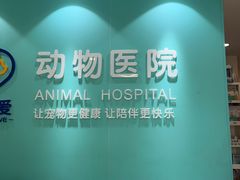 -美迦爱-动物医院·骨科·牙科·夜诊(朝阳路诊疗中心)