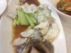 鲈鱼-兴圆苑