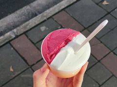 -Dip in Gelato(富民路店)