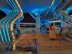 -演武大桥观景平台