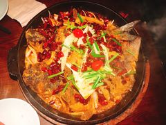 -老板恋上鱼(高新万达店)
