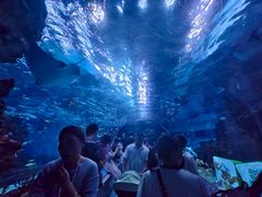 -海合安成都极地海洋公园