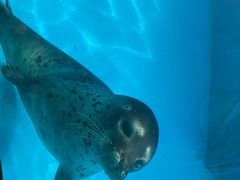 -泉城欧乐堡海洋极地世界