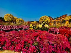-北京十三陵国家森林公园蟒山景区