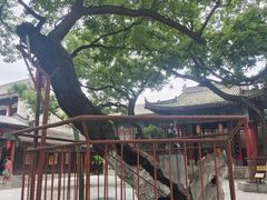 -关中书院