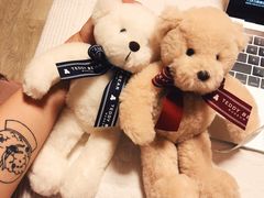 -济州岛泰迪熊博物馆