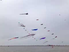 -启东黄金海滩景区