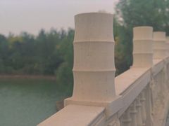-塘沽森林公园