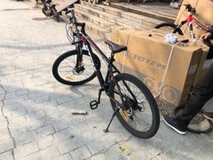 -道路口单车爱瓦士dahon大行