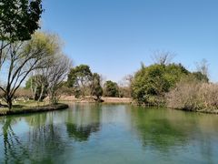 -西溪国家湿地公园