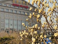-北京饭店