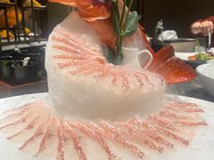 -揽季锅物会.福建黄鱼.海鲜姿造(五四路店)