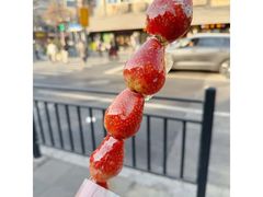 -野栗香(娄山关路店)