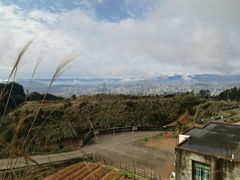 -金鸡山公园