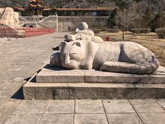 -北京十三陵国家森林公园蟒山景区