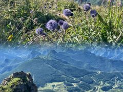 -白草畔自然风景区