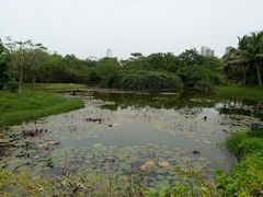 -白沙门生态公园