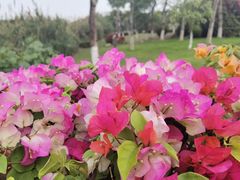 -厦门园林博览苑