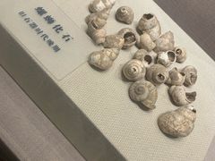 大堂-柳州菜饮食文化博物馆