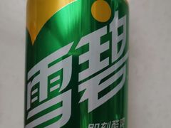 雪碧听-天津雅园饭店(成林道店)
