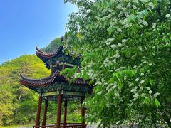 -大连天门山国家森林公园