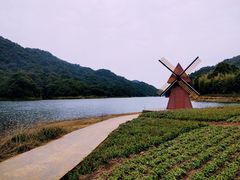 -广州市石门国家森林公园