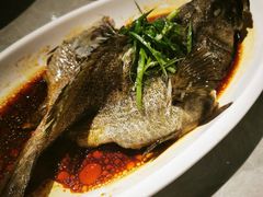 清蒸石斑鱼-达叔香味海鲜(海棠68环球美食街店)