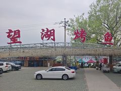 -望湖烤鱼