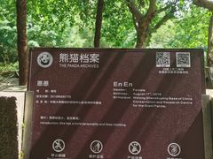 -都江堰中华大熊猫苑