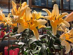 -顶特勒·黄鱼馆·特色菜(上海大世界店)