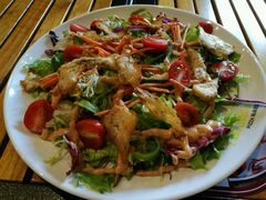 -Tubestation站点比萨(五道营店)